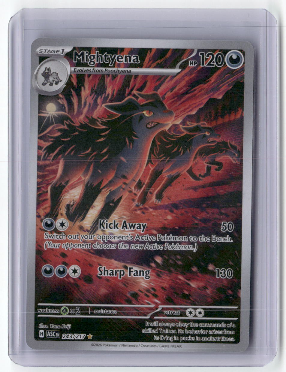 Mightyena Illustration Rare ME: Ascended Heroes 243/217 NM