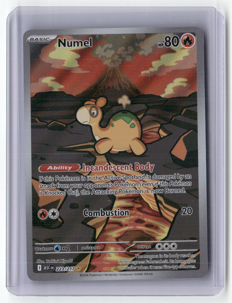 Numel Illustration Rare ME: Ascended Heroes 223/217 NM