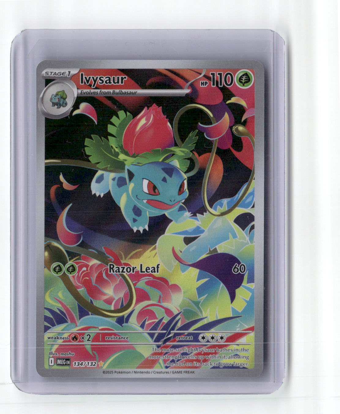 Ivysaur Illustration Rare ME01: Mega Evolution 134/132 NM